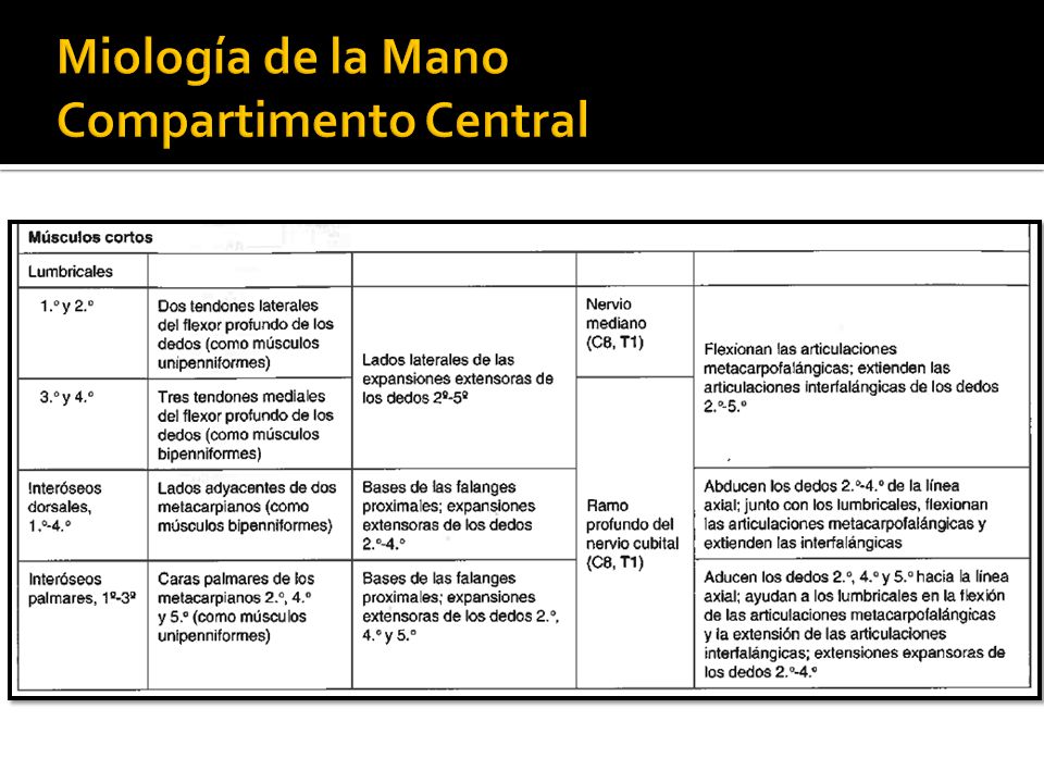 COMPARTIMENTOS DE LA MANO PDF COMPARTIMENTOS DE LA MANO PDF